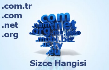 Domain uzantısının değeri Domain uzantısının değeri