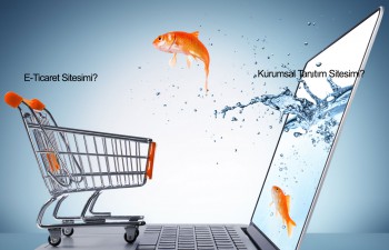 Kurumsal Sitemi Yoksa E-Ticaret Sitesimi Firmama Uygun? Kurumsal Sitemi Yoksa E-Ticaret Sitesimi Firmama Uygun?